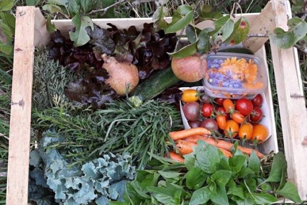 Restaurant Lokaal gent